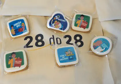 28 by 28 campaign panel discussion